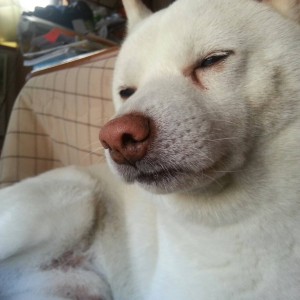 たーじーブログ２